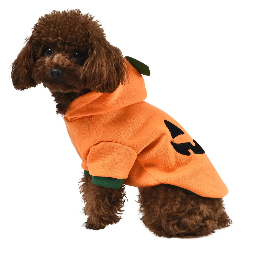 Barking Costumes - Pumpkin Hoodie