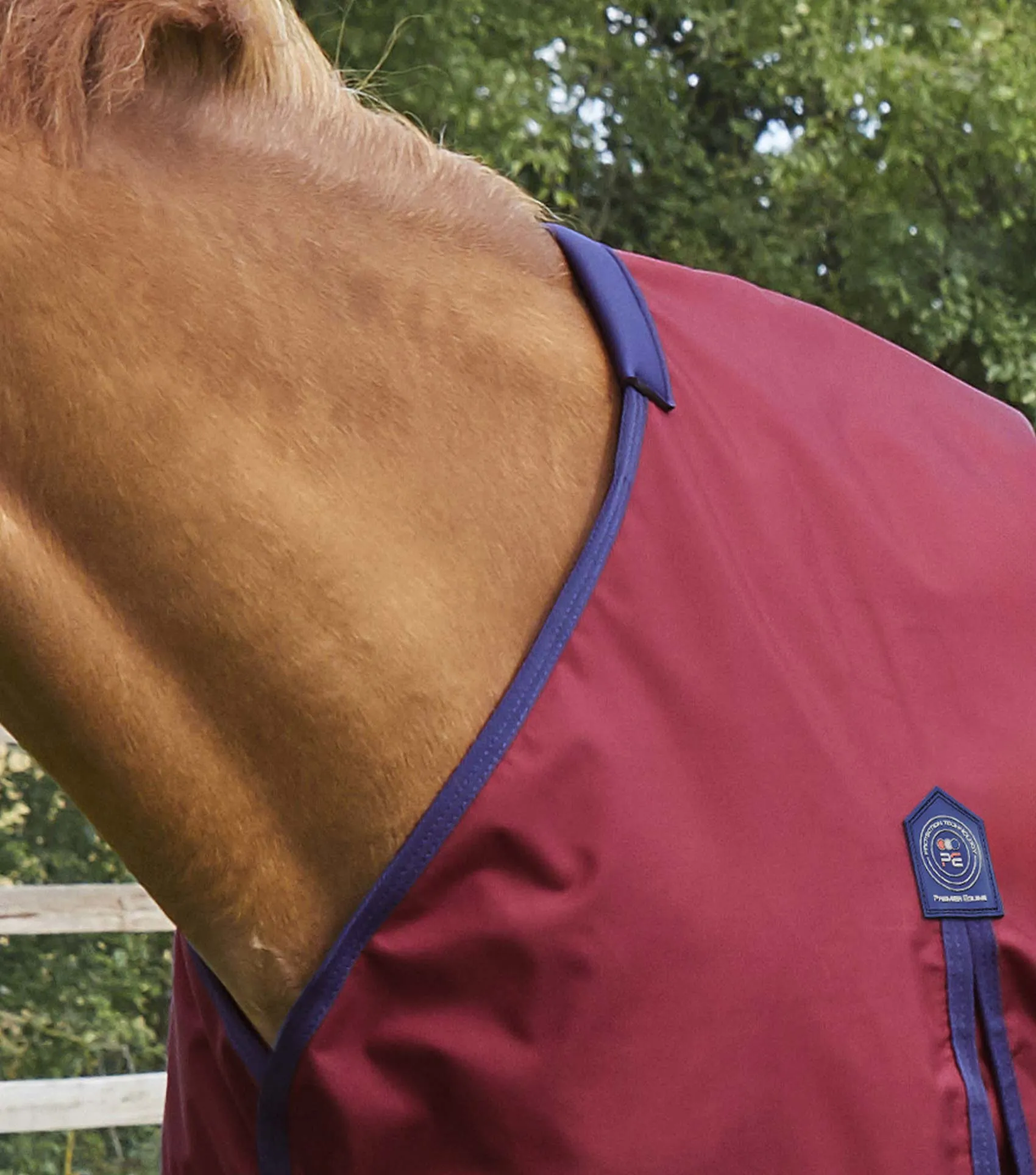 Buster Zero Original Turnout Rug Burgundy