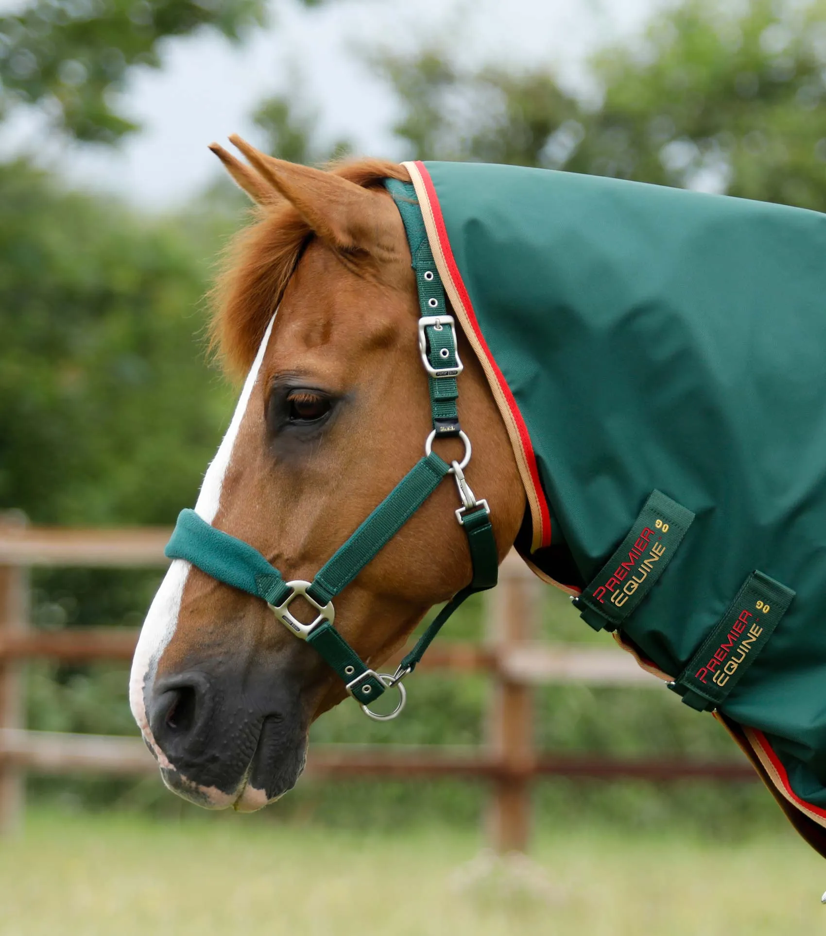 Buster Zero Turnout Rug with Classic Neck Cover Green