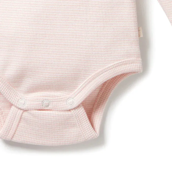 Cantaloupe Organic Stripe Rib Long Sleeved Bodysuit