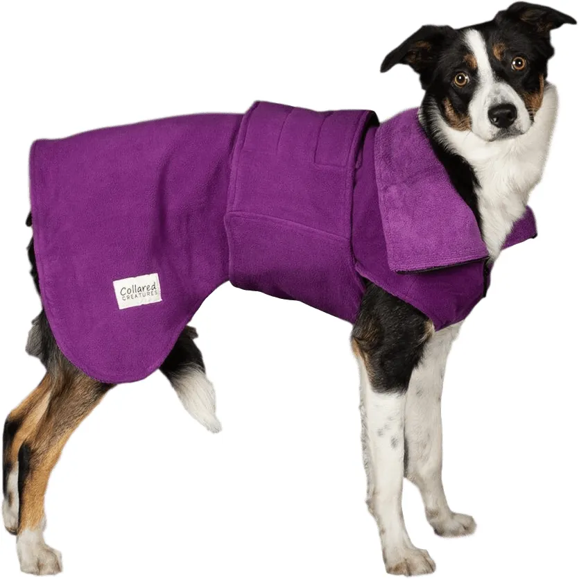 Collared Creatures - Perfectly Practical Dog Drying Coat - Available in 3 Colours