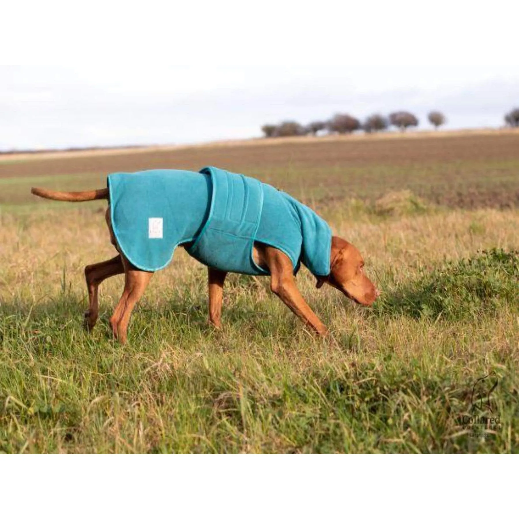 Collared Creatures - Perfectly Practical Dog Drying Coat - Available in 3 Colours