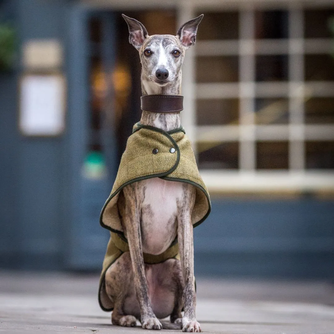 Country and Twee Green Tweed Whippet Coat