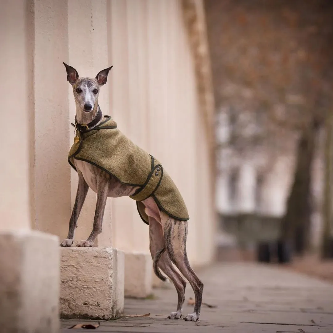 Country and Twee Green Tweed Whippet Coat