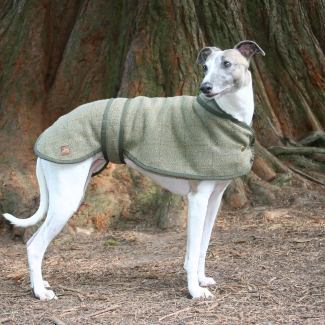 Country and Twee Green Tweed Whippet Coat