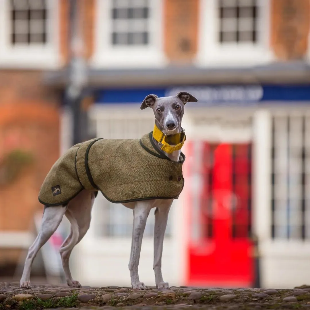 Country and Twee Green Tweed Whippet Coat