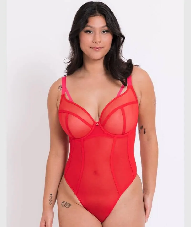 Curvy Kate Elementary Plunge Bodysuit - Red/Pink