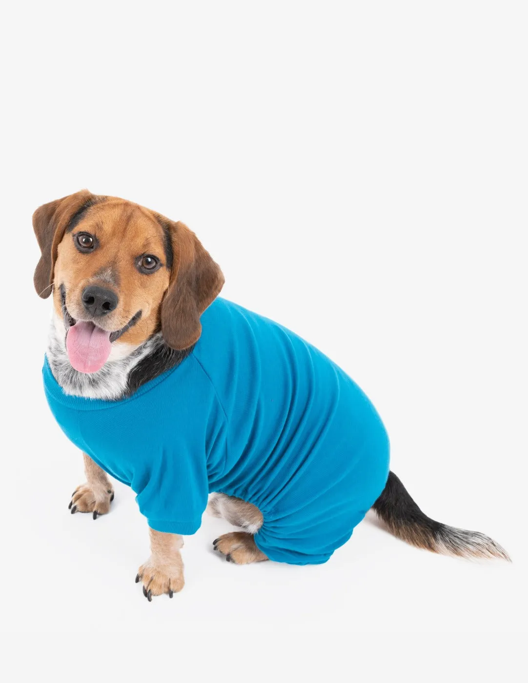 Dogs Solid Color Teal Pajamas