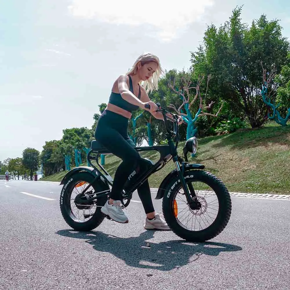 Freego DK200 Off Road Mountain Electric Bike 20'' Fat tires 20Ah Lithium Battery