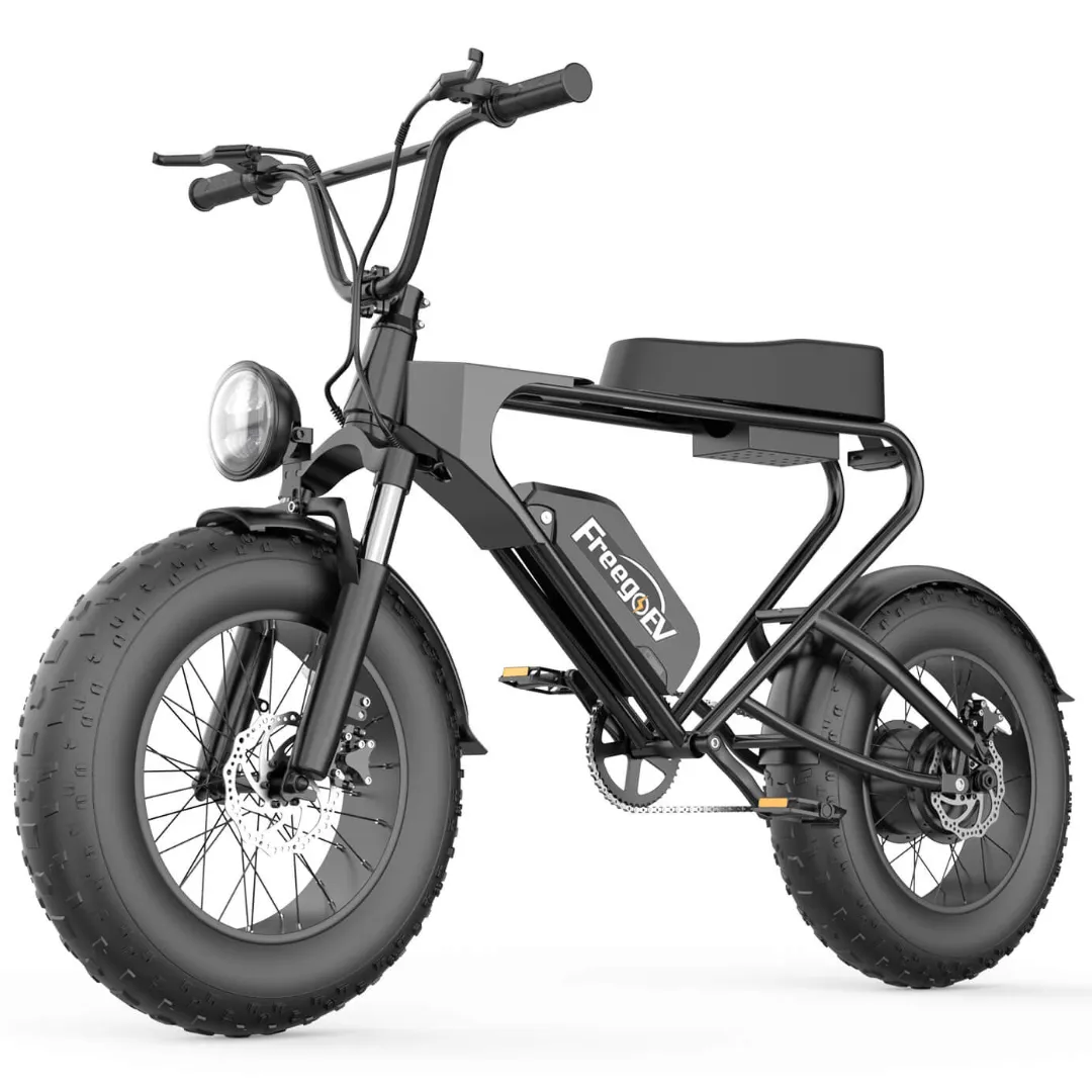 Freego DK200 Off Road Mountain Electric Bike 20'' Fat tires 20Ah Lithium Battery