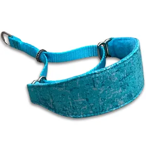 Grunge Shimmer Aqua Walking Hound Collar  8-11"