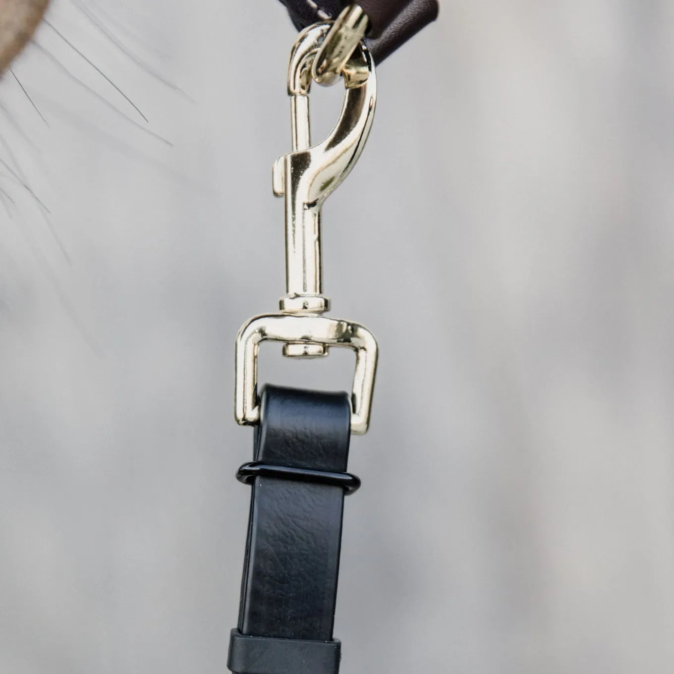 Kentucky Horsewear Presentation Lead - Black