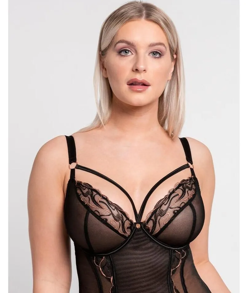 Scantilly Fascinate Plunge Basque - Black