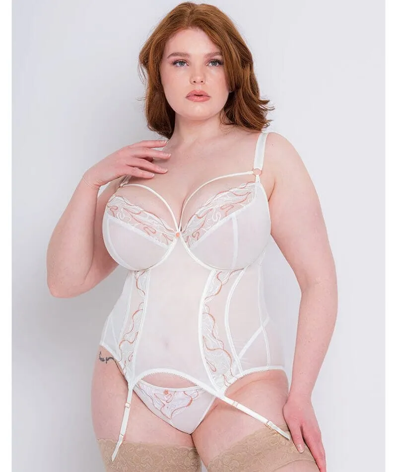 Scantilly Fascinate Plunge Basque - White