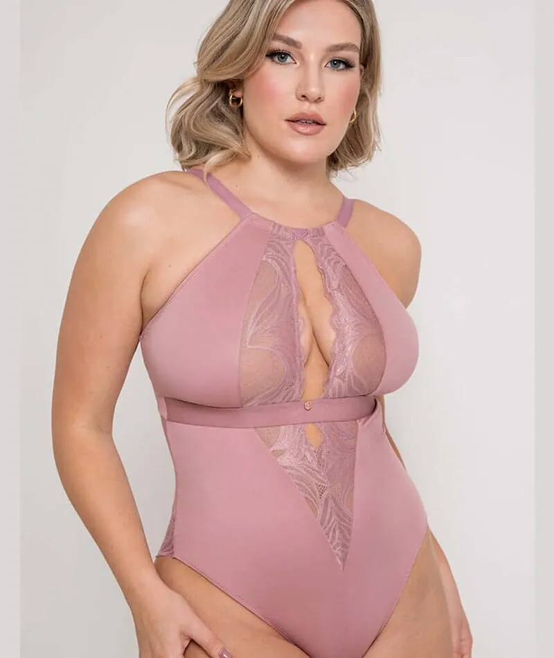 Scantilly Indulgence Stretch Lace Bodysuit - Dusty Rose