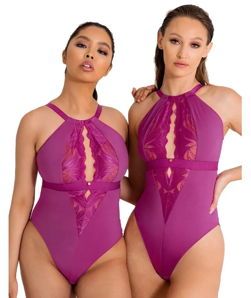 Scantilly Indulgence Stretch Lace Bodysuit - Orchid/Latte