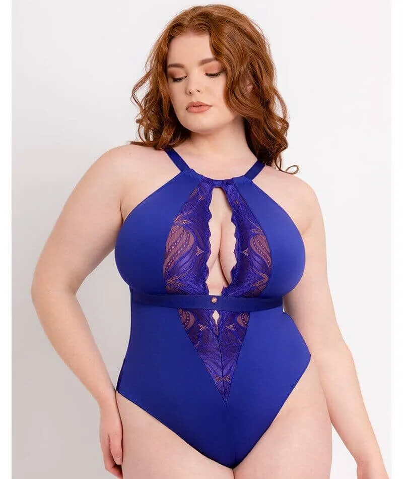 Scantilly Indulgence Stretch Lace Bodysuit - Ultraviolet Blue