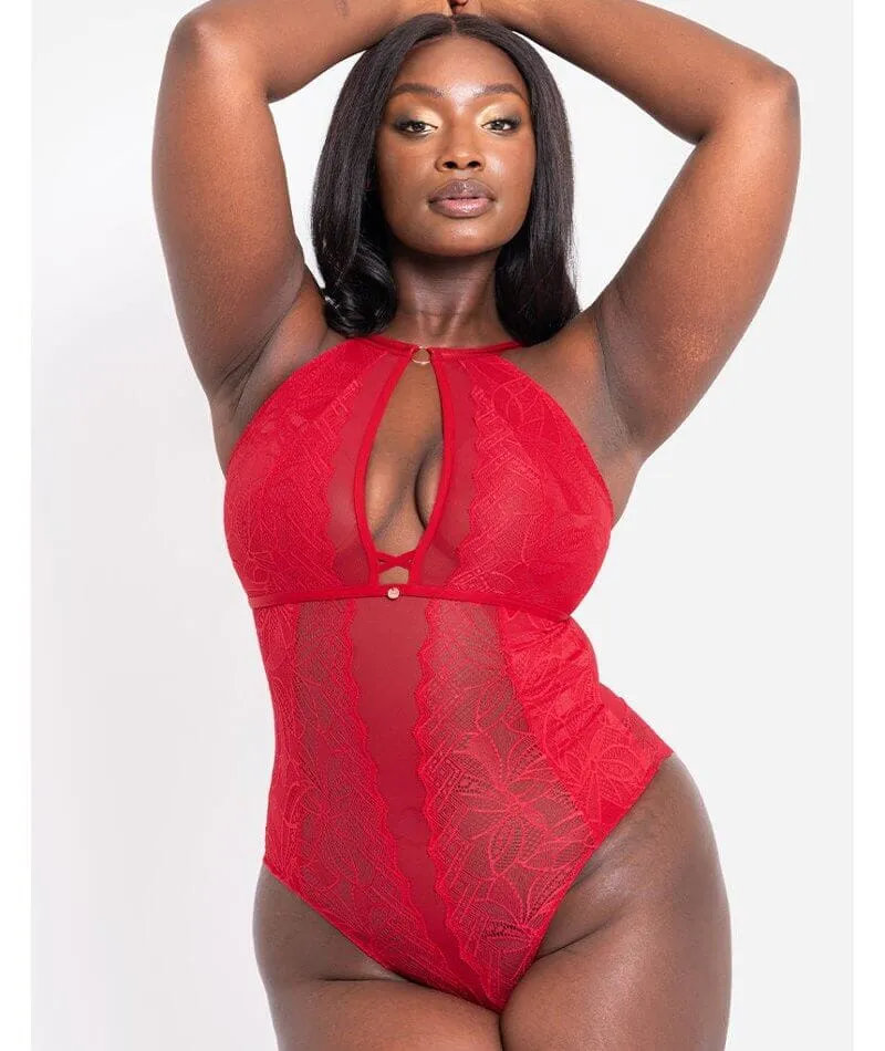 Scantilly Opulence Stretch Lace Bodysuit - Ruby Red