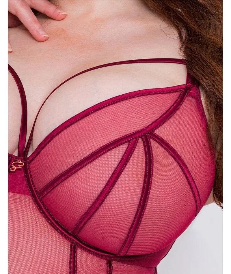 Scantilly Senses Plunge Bodysuit - Cherry Purple