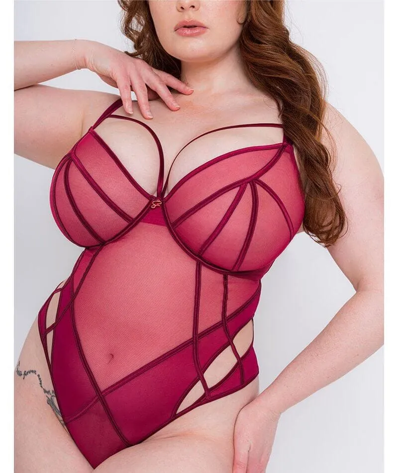 Scantilly Senses Plunge Bodysuit - Cherry Purple