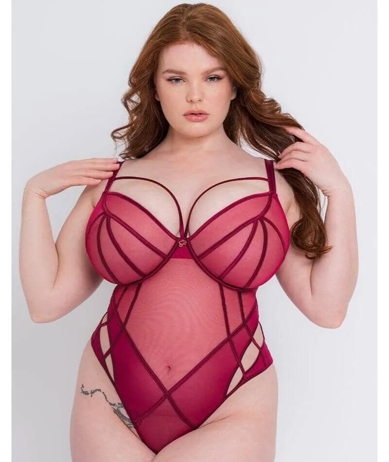 Scantilly Senses Plunge Bodysuit - Cherry Purple