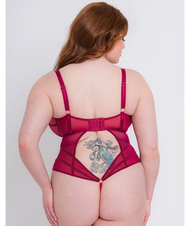 Scantilly Senses Plunge Bodysuit - Cherry Purple