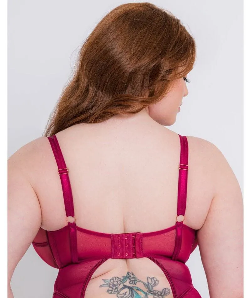 Scantilly Senses Plunge Bodysuit - Cherry Purple