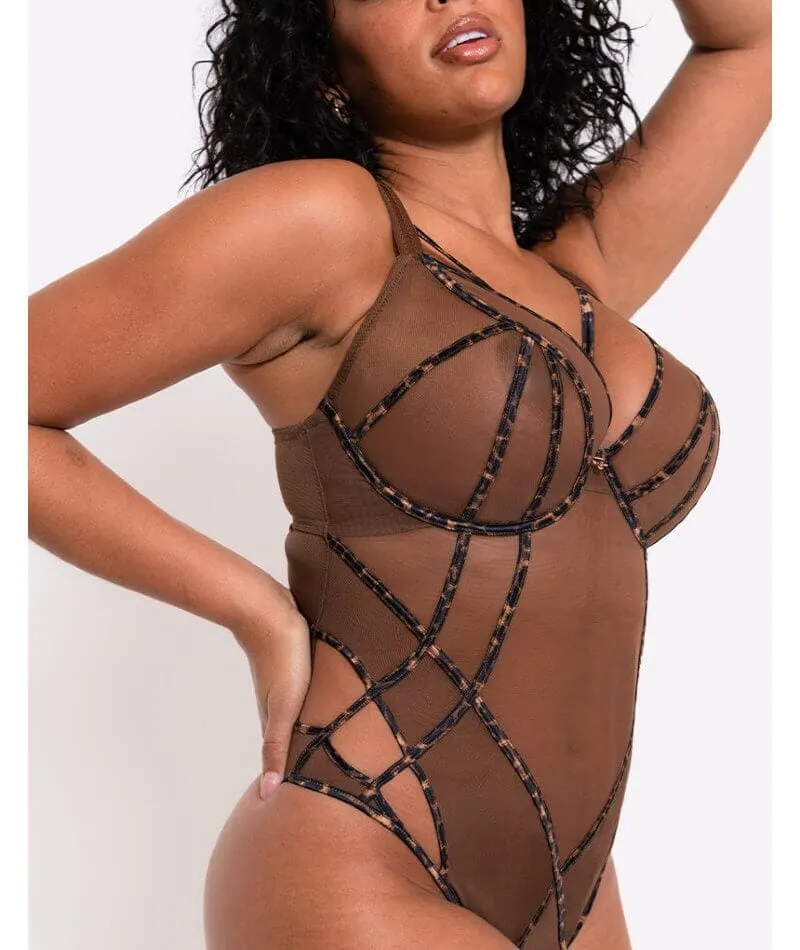 Scantilly Senses Plunge Bodysuit - Leopard Brown