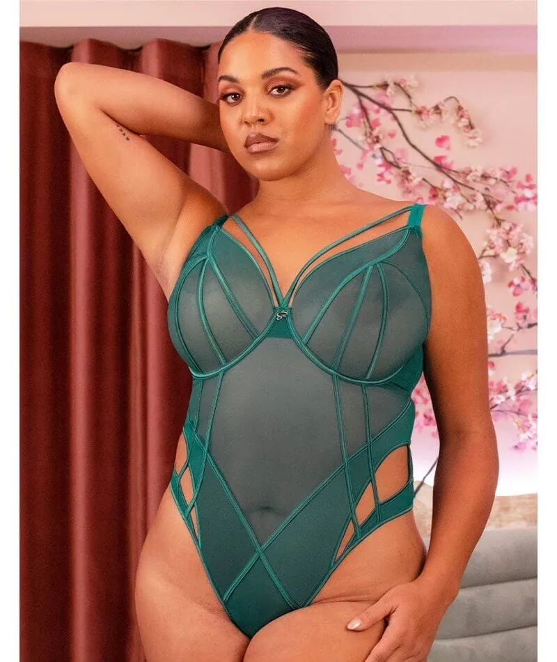 Scantilly Senses Plunge Bodysuit - Verdigris Green