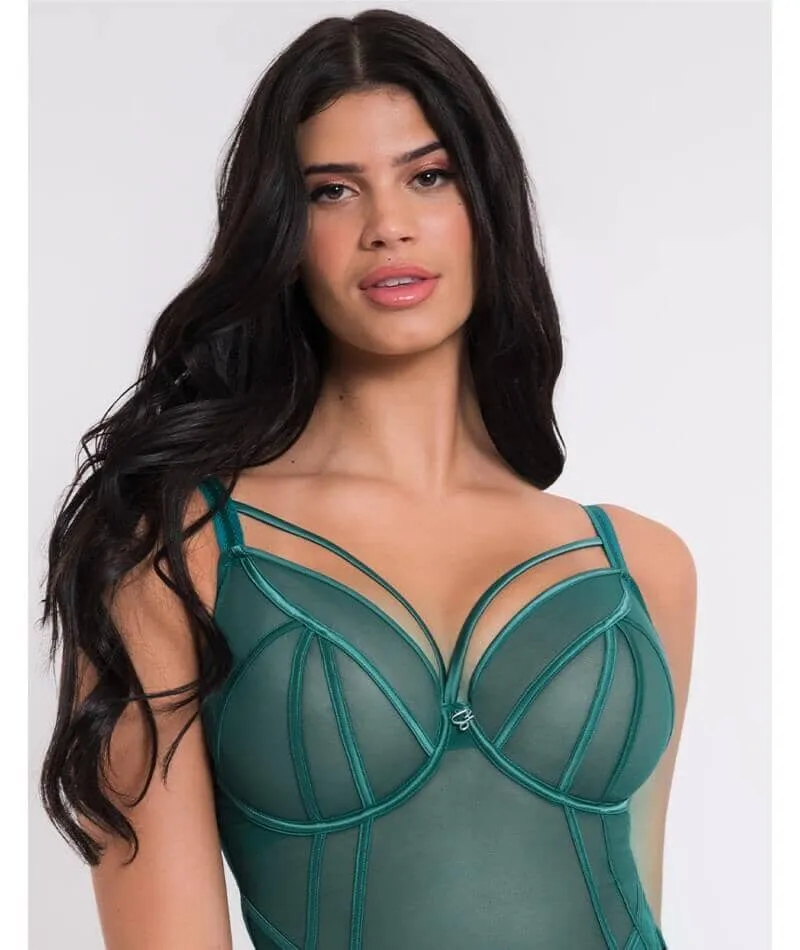 Scantilly Senses Plunge Bodysuit - Verdigris Green