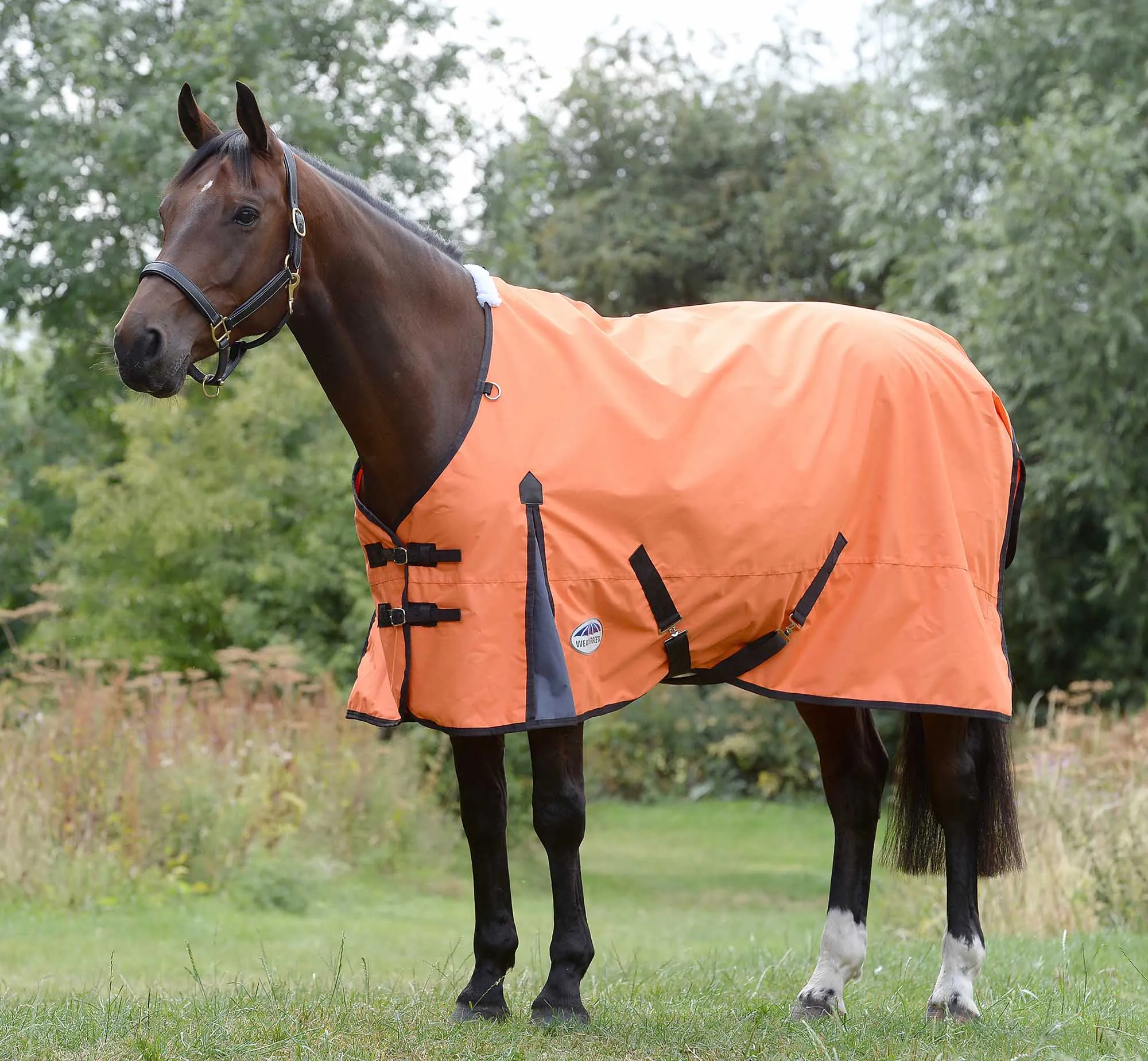 WeatherBeeta ComFITec Classic Standard Neck Turnout Sheet