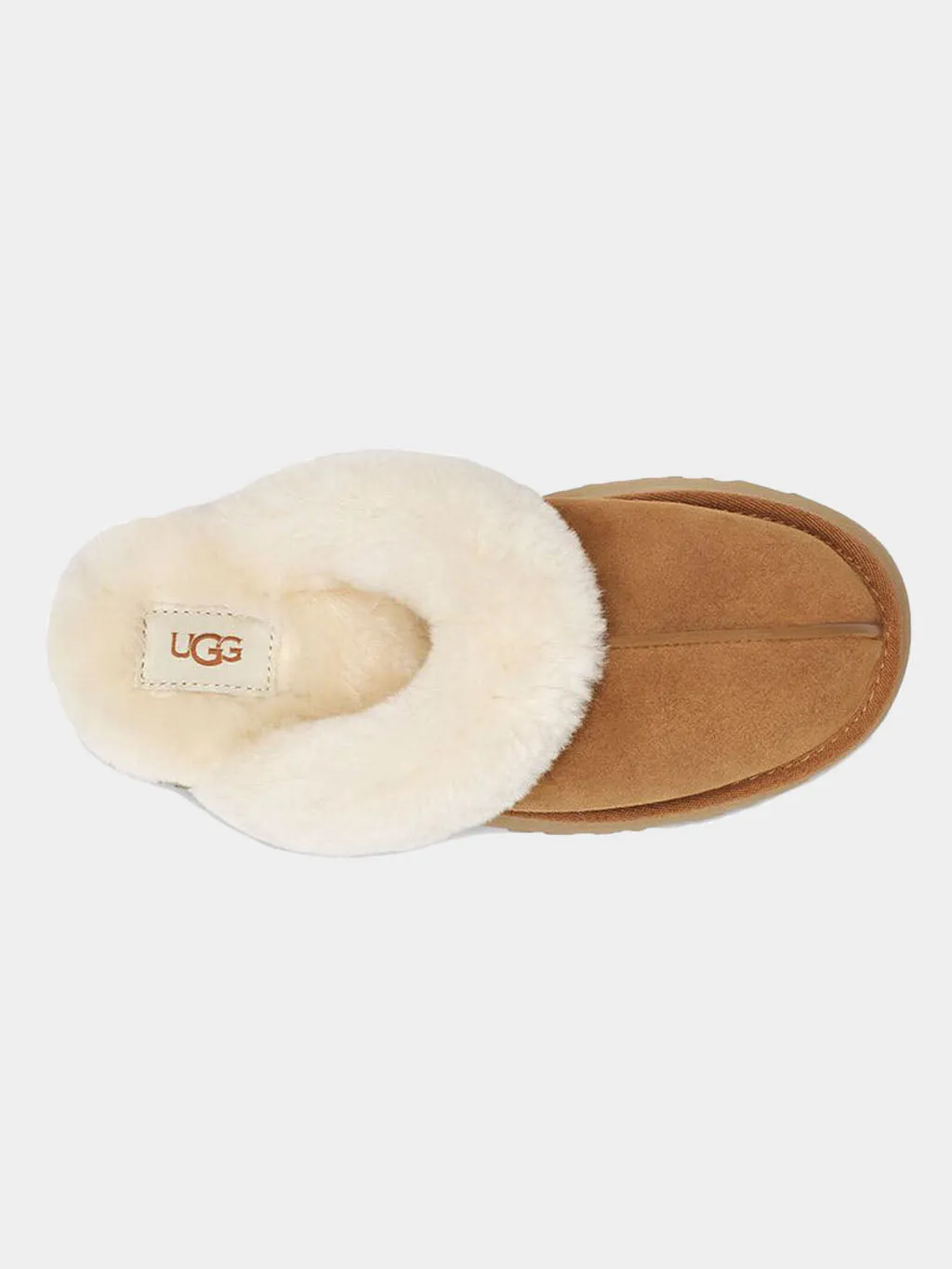 Women's Disquette Slipper